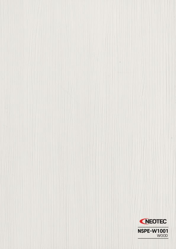 NSPE-W1001