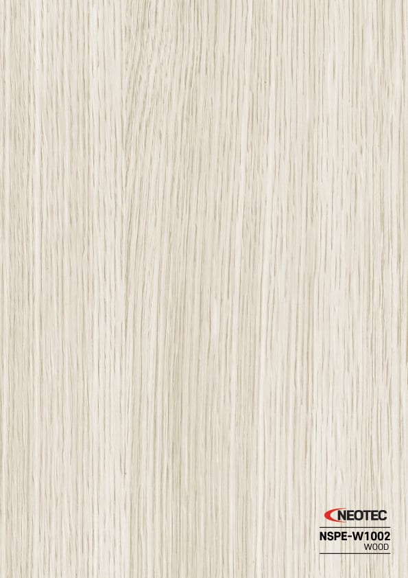 NSPE-W1002