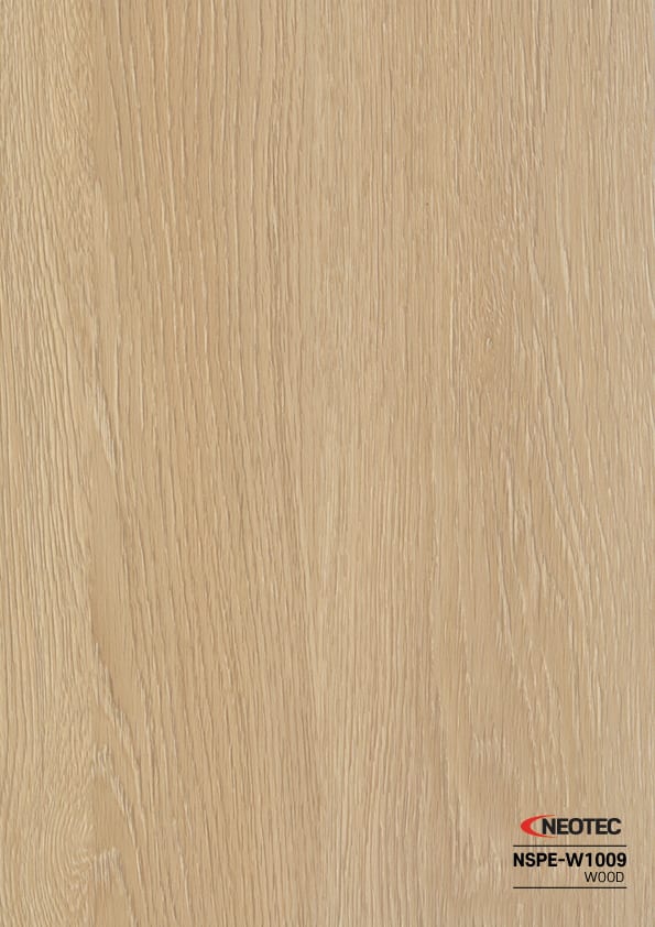 NSPE-W1009