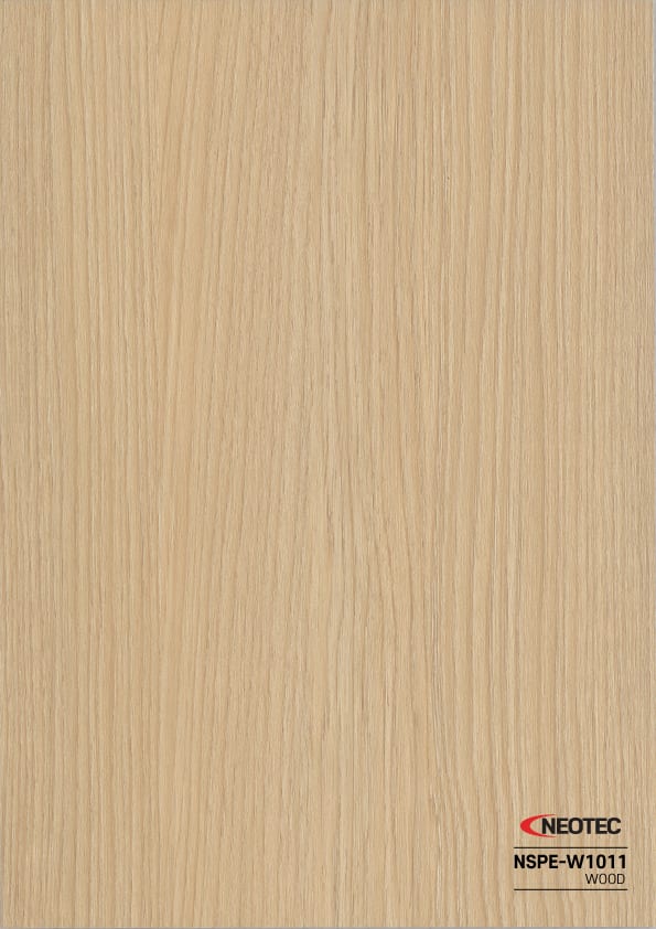 NSPE-W1011