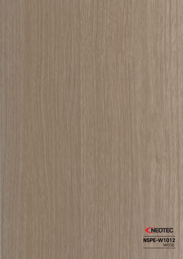 NSPE-W1012