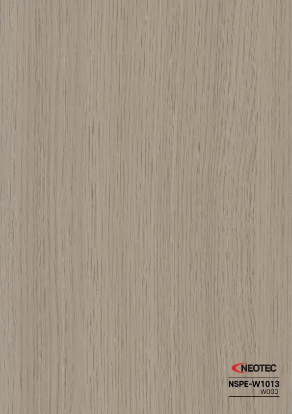 NSPE-W1013