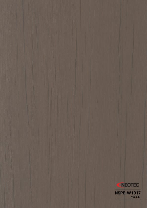 NSPE-W1017