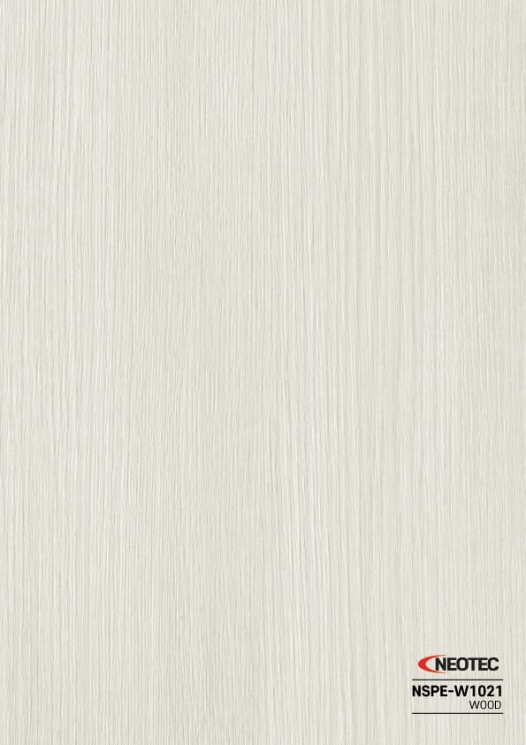 NSPE-W1021